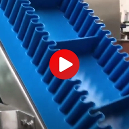 Incline Conveyor with PU Belt Video